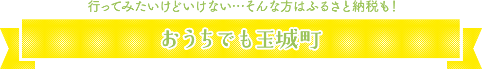 行ってみたいけどいけない、そんな方はふるさと納税も！おうちでも玉城町