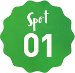 spot01