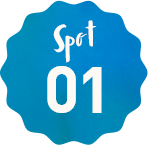 spot01