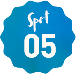 spot05
