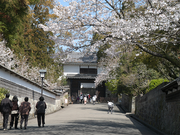 日南市飫肥（おび）地区