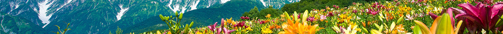 世界級リゾート、山の信州で紡ぐ夏の思い出