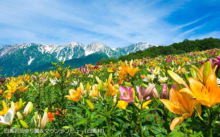 世界級リゾート、山の信州で紡ぐ夏の思い出