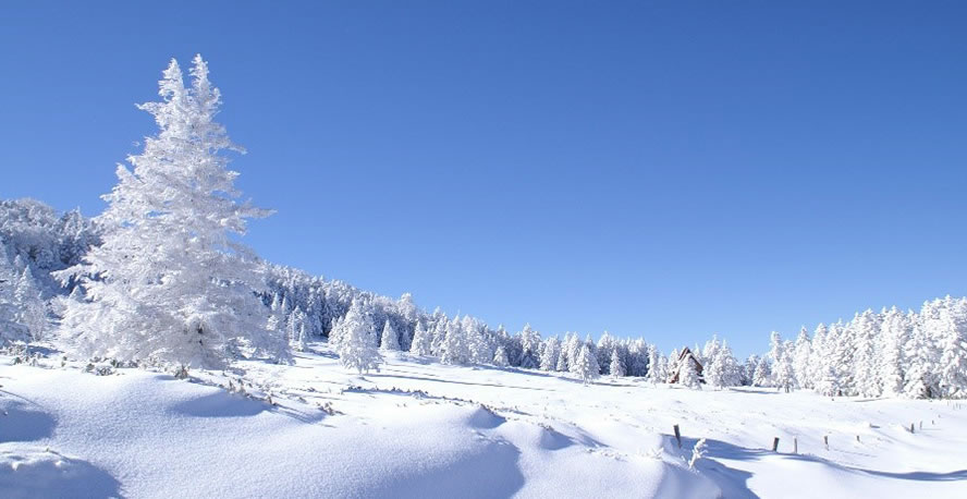 標高2,100mに泊まる、大人の雪遊び