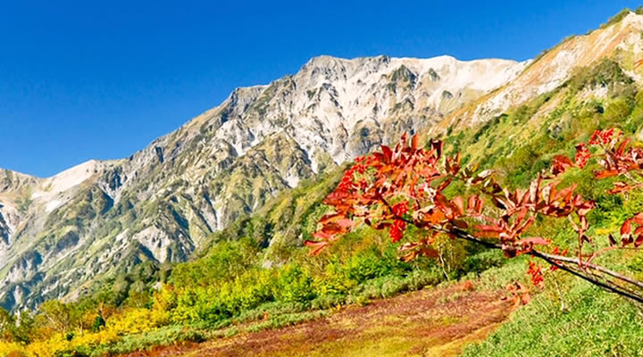 信州 白馬・小谷 秋の絶景・旬を感じる旅