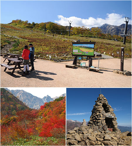 白馬五竜高山植物園