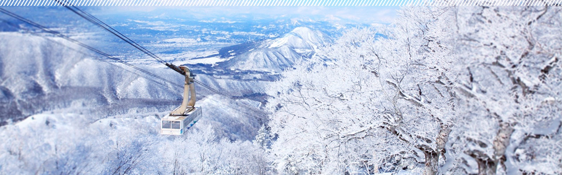 冬を楽しみつくす 雪国信州の旅へ 楽天トラベル