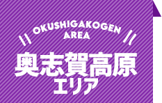 OKUSHIGAKOGEN AREA 奥志賀高原エリア