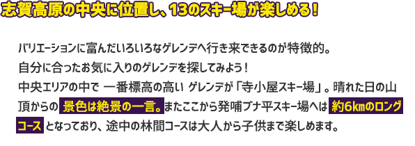 高原の中央に位置し、13のスキー場が集結！ 中央エリアには13のスキー場があり、バリエーションに富んだ滑走エリアが特徴的。ツアー感覚でスキー場巡りをすればいつの間にか上達？！なかでも人気を誇るゲレンデが「寺小屋スキー場」。ここから「「東館山スキー場」～「発哺ブナ平スキー場」まで約６kmのロングコースが楽しいと評判です。