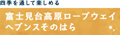 富士見台高原の紅葉