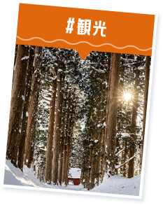 #観光