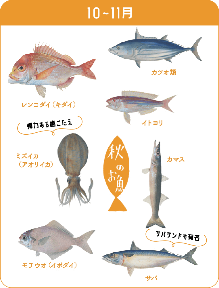 10-11月が旬のお魚