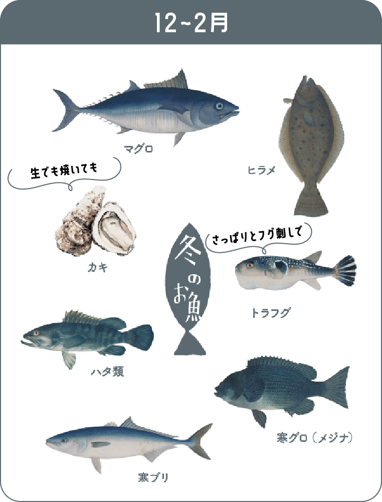 12-2月が旬のお魚