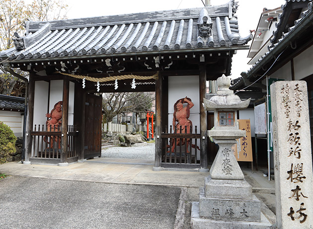 天武天皇の「夢見の桜」のもとに開かれた櫻本坊