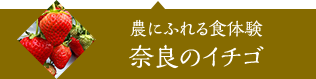 農にふれる食体験、奈良のイチゴ