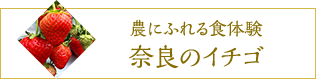 農にふれる食体験、奈良のイチゴ