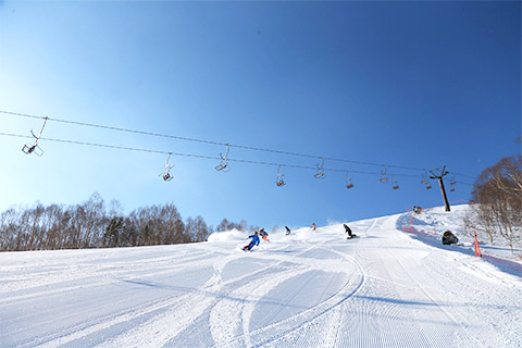 今シーズンのスキー スノボ 新潟で決まり 楽天トラベル