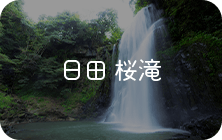 日田 桜滝