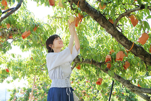 フルーツ狩り（大原観光果樹園）