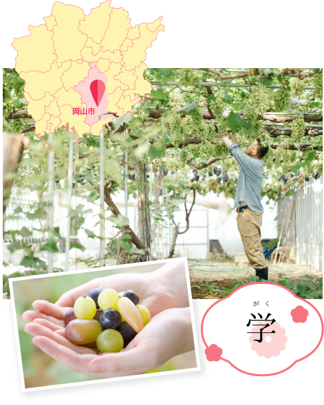 学