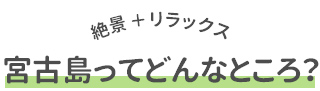 宮古島ってどんなところ？