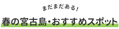 春の宮古島・おすすめスポット