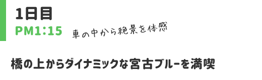 橋の上からダイナミックな宮古ブルーを満喫