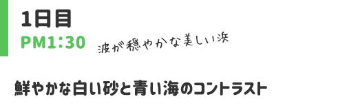 鮮やかな白い砂と青い海のコントラスト