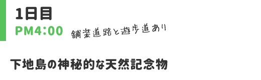 下地島の神秘的な天然記念物