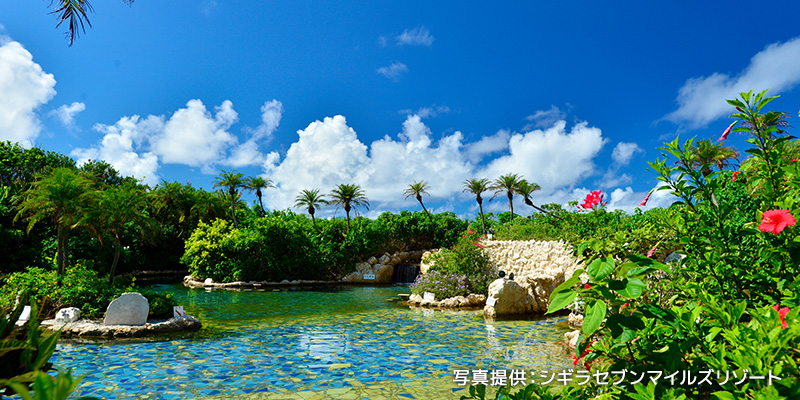 緑と花々の中でやすらぐ琥珀色の絶景温泉