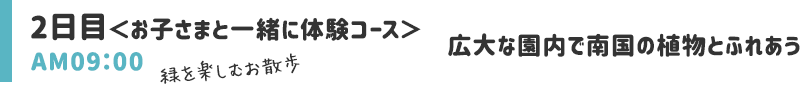 広大な園内で南国の植物とふれあう