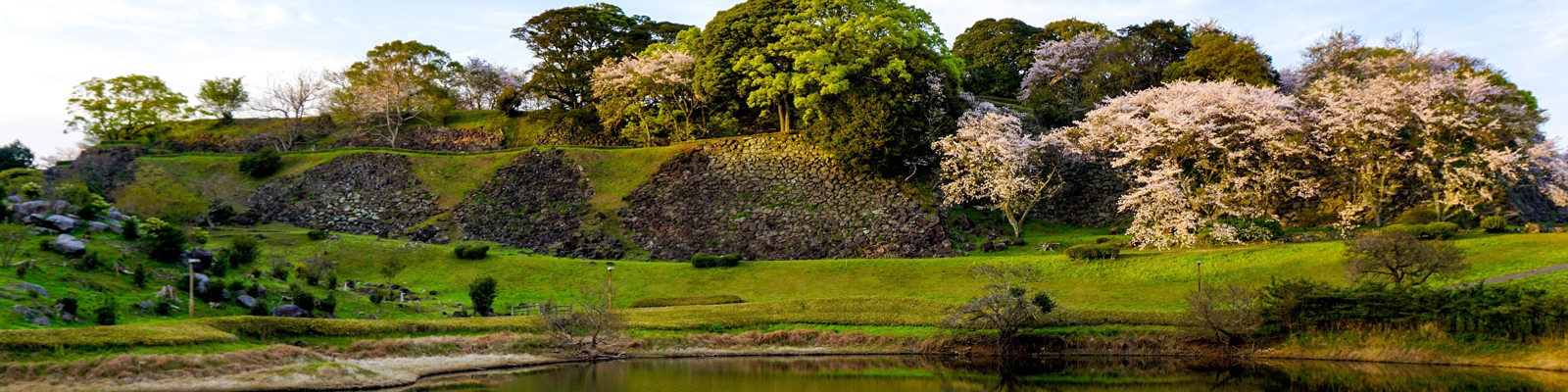 名護屋城跡桜