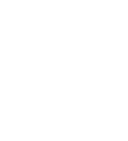 あしらい模様