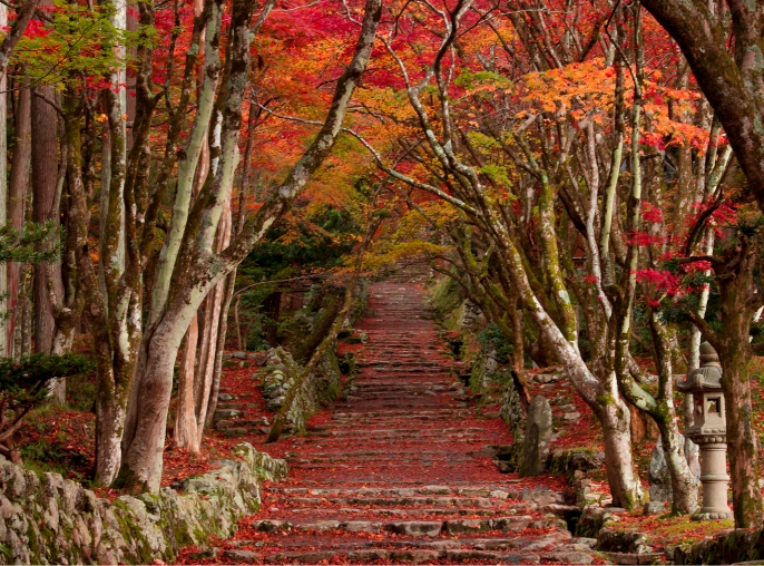 鶏足寺