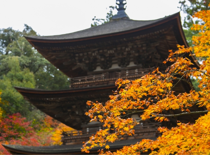 湖東三山