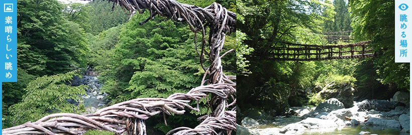 日本の秘境　奥祖谷二重かずら橋