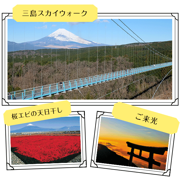 富士山に感動！