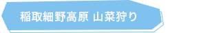 稲取細野高原 山菜狩り