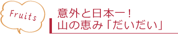 意外と日本一!山の恵み「だいだい」