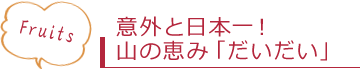 意外と日本一！山の恵み「だいだい」