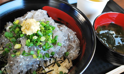 SHIZUOKA GENKITABI 美食
