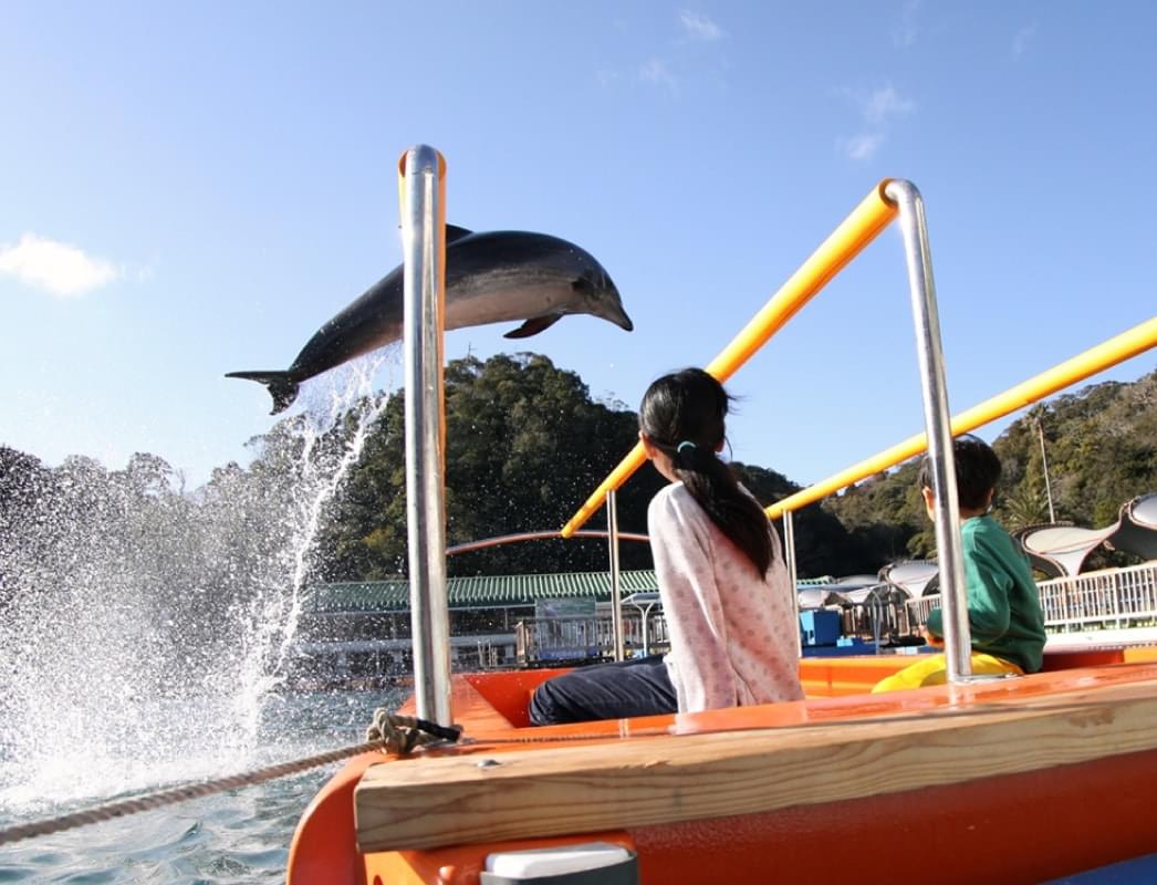 下田海中水族館