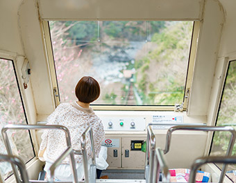 ケーブルカーでたどり着く秘湯・祖谷温泉