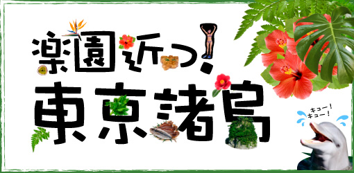 楽園近っ 東京諸島 八丈島 青ヶ島 楽天トラベル