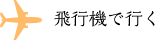 飛行機で行く
