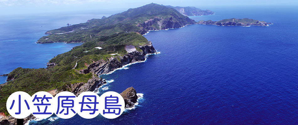 小笠原母島