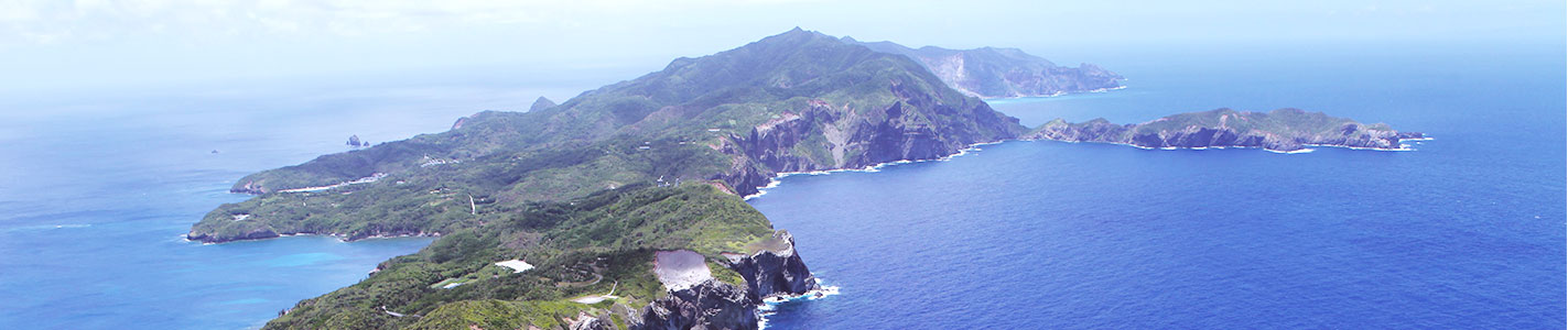 東京でのんびり島じかん