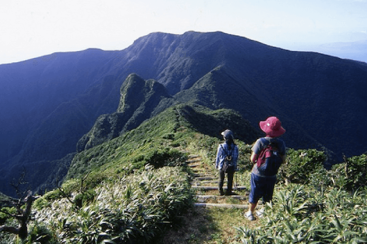 御蔵島