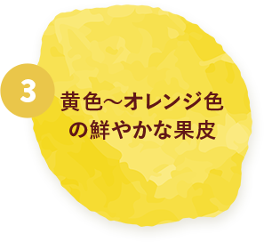 3.黄色～オレンジ色の鮮やかな果皮