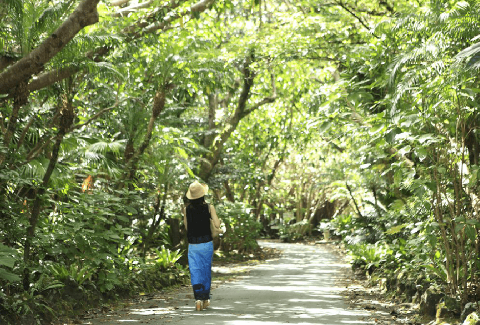 八丈植物園の写真02